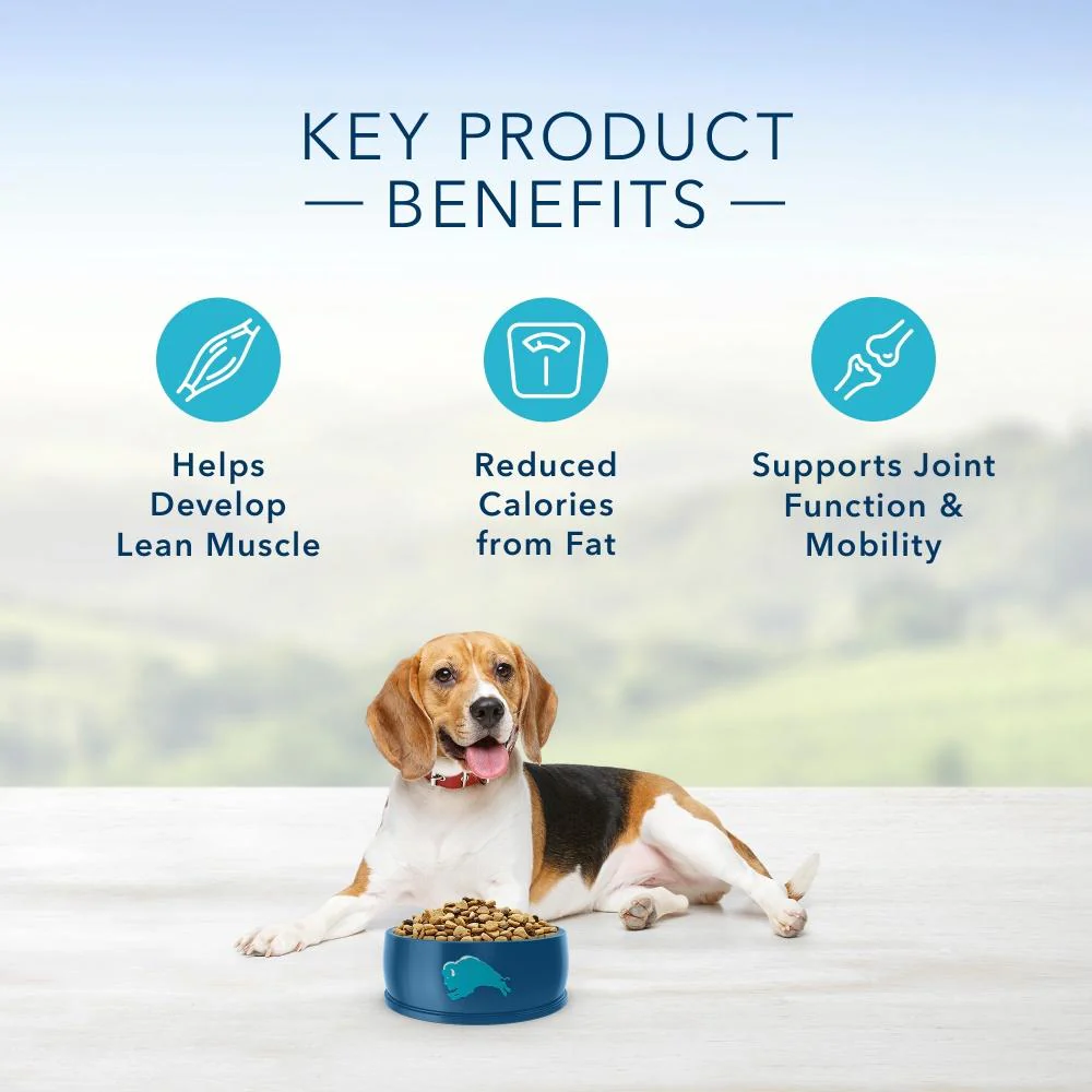 Blue Buffalo Life Protection Healthy Weight Natural Chicken & Brown Rice Recipe Adult Dry Dog Food - Image 6