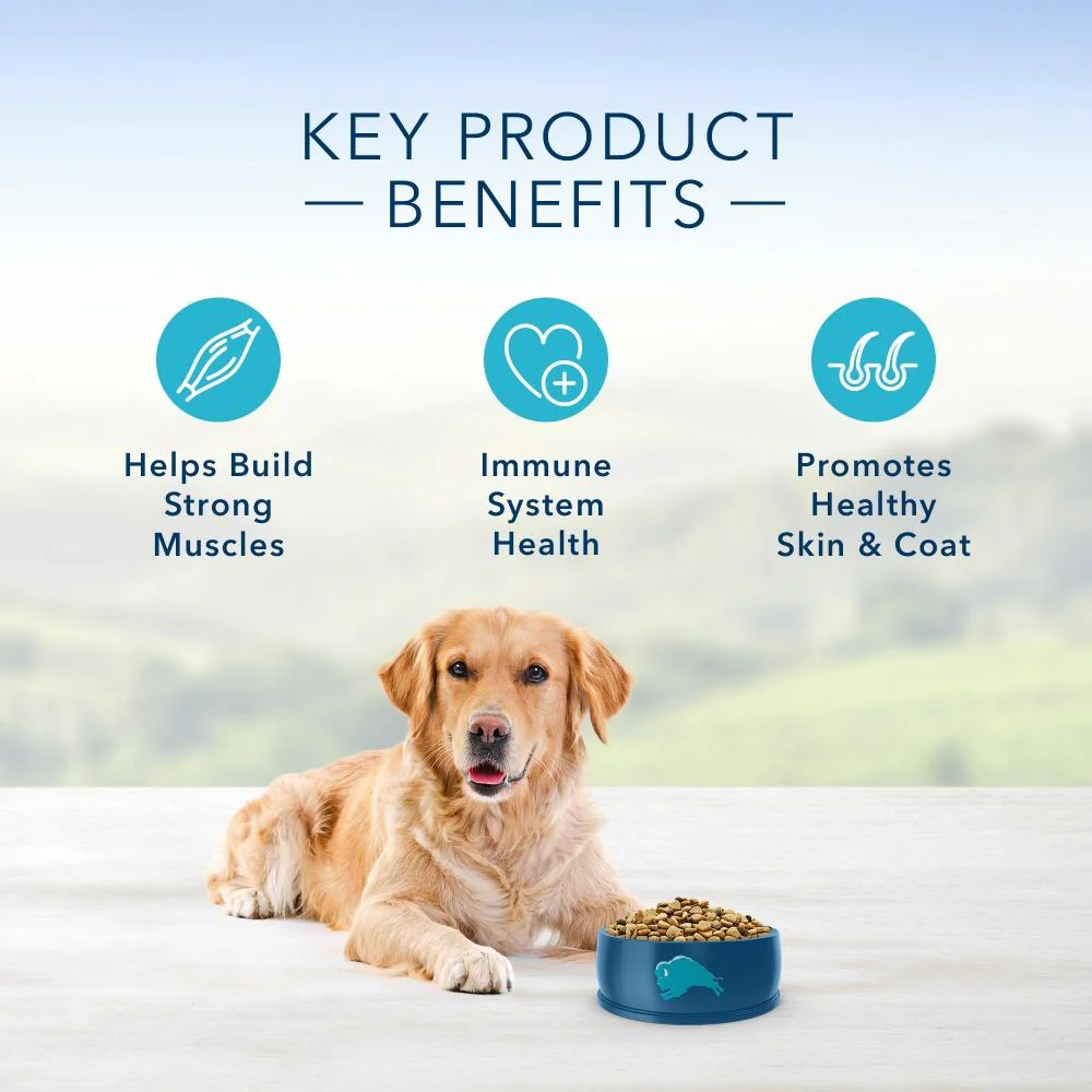 Blue Buffalo Life Protection Natural Chicken & Brown Rice Recipe Adult Dry Dog Food - Image 6