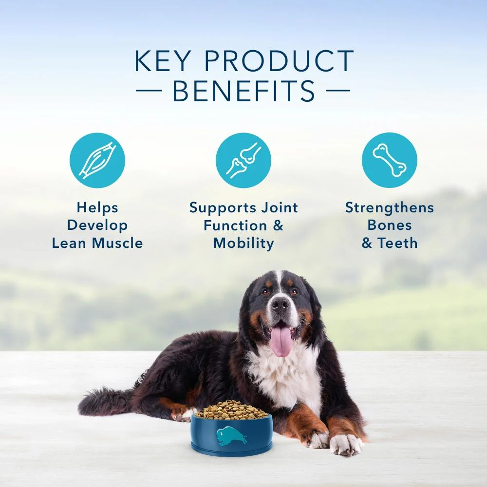 Blue Buffalo Life Protection Natural Chicken & Brown Rice Recipe Large Breed Adult Dry Dog Food - Image 5