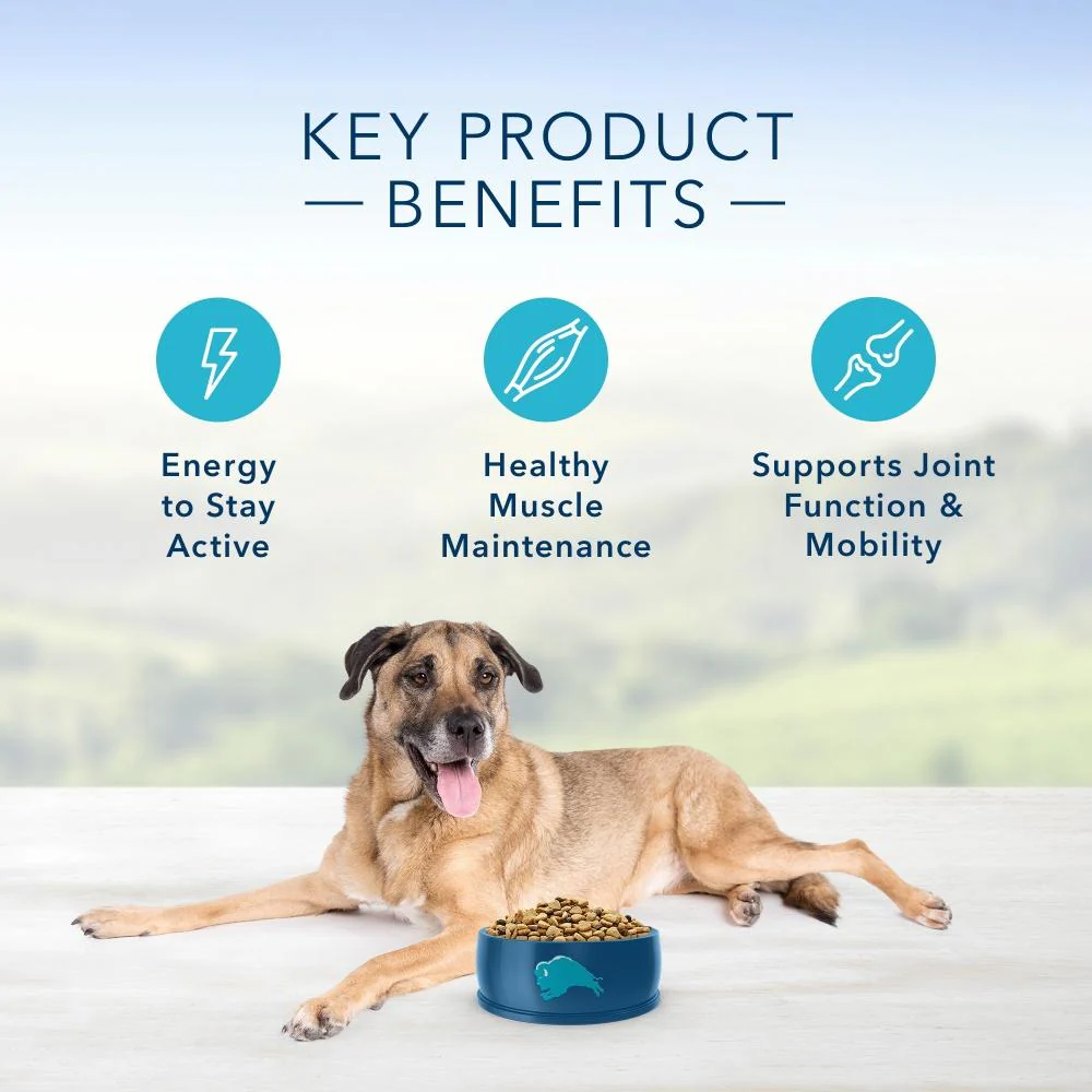 Blue Buffalo Life Protection Natural Chicken & Brown Rice Recipe Senior Dry Dog Food - Image 6