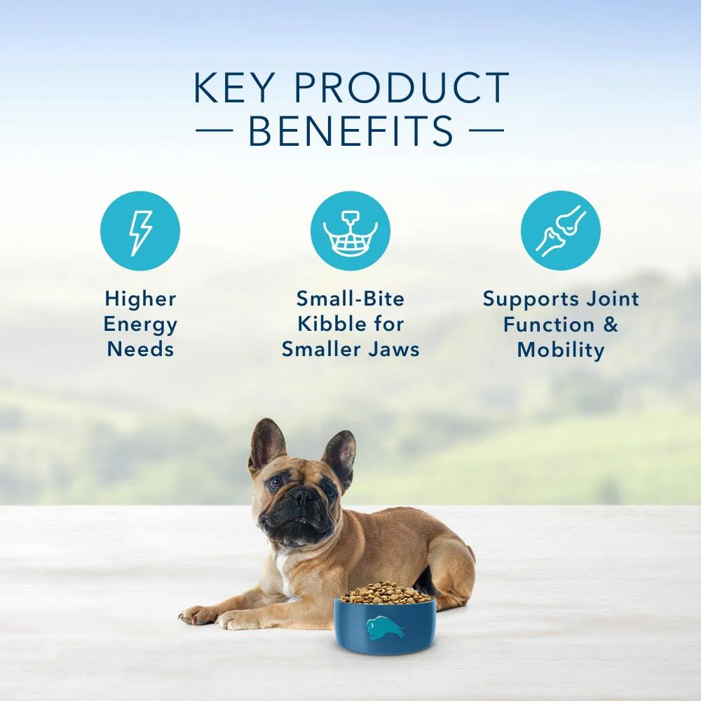 Blue Buffalo Life Protection Natural Chicken & Brown Rice Recipe Small Breed Adult Dry Dog Food - Image 5
