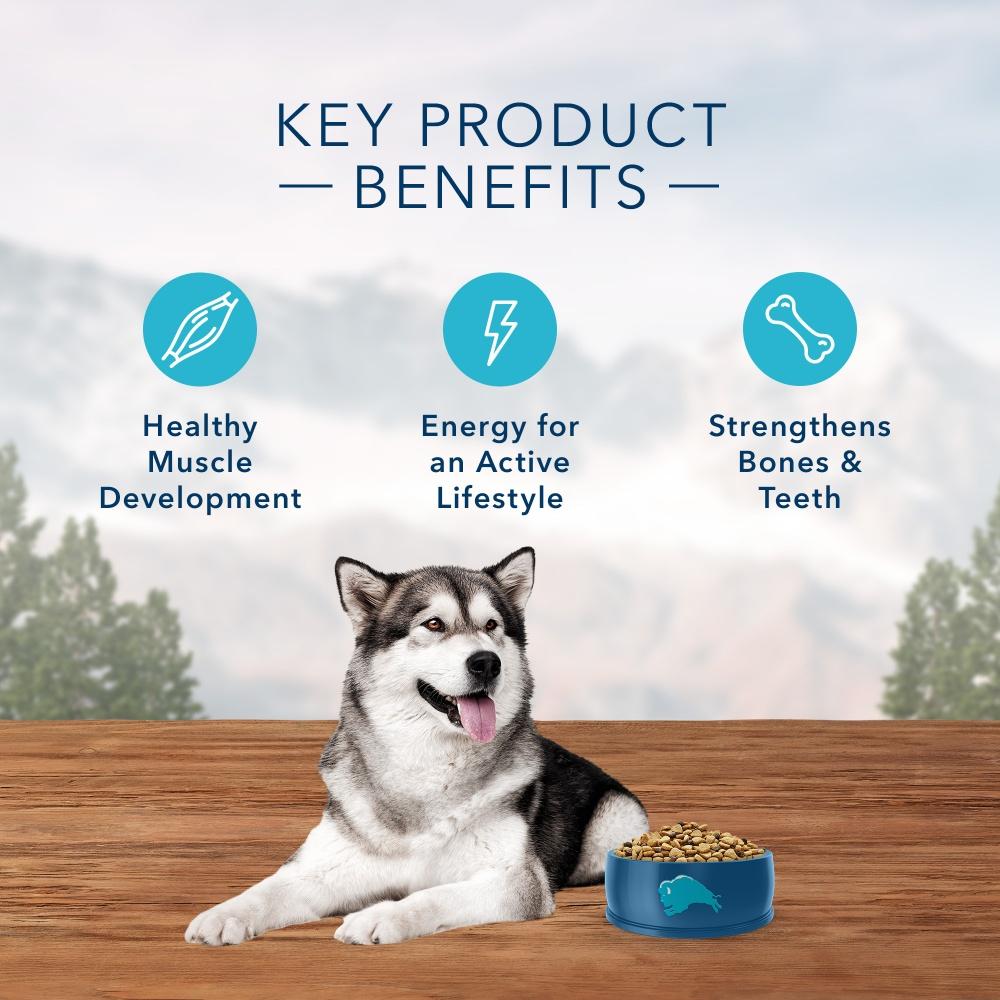 Blue Buffalo Wilderness Grain Free High Protein Chicken Recipe Adult Dry Dog Food - Image 4