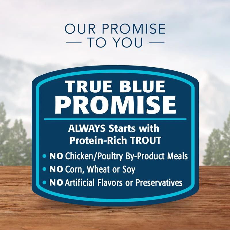 Blue Buffalo Wilderness Turkey & Chicken Grill Canned Dog Food - Image 6