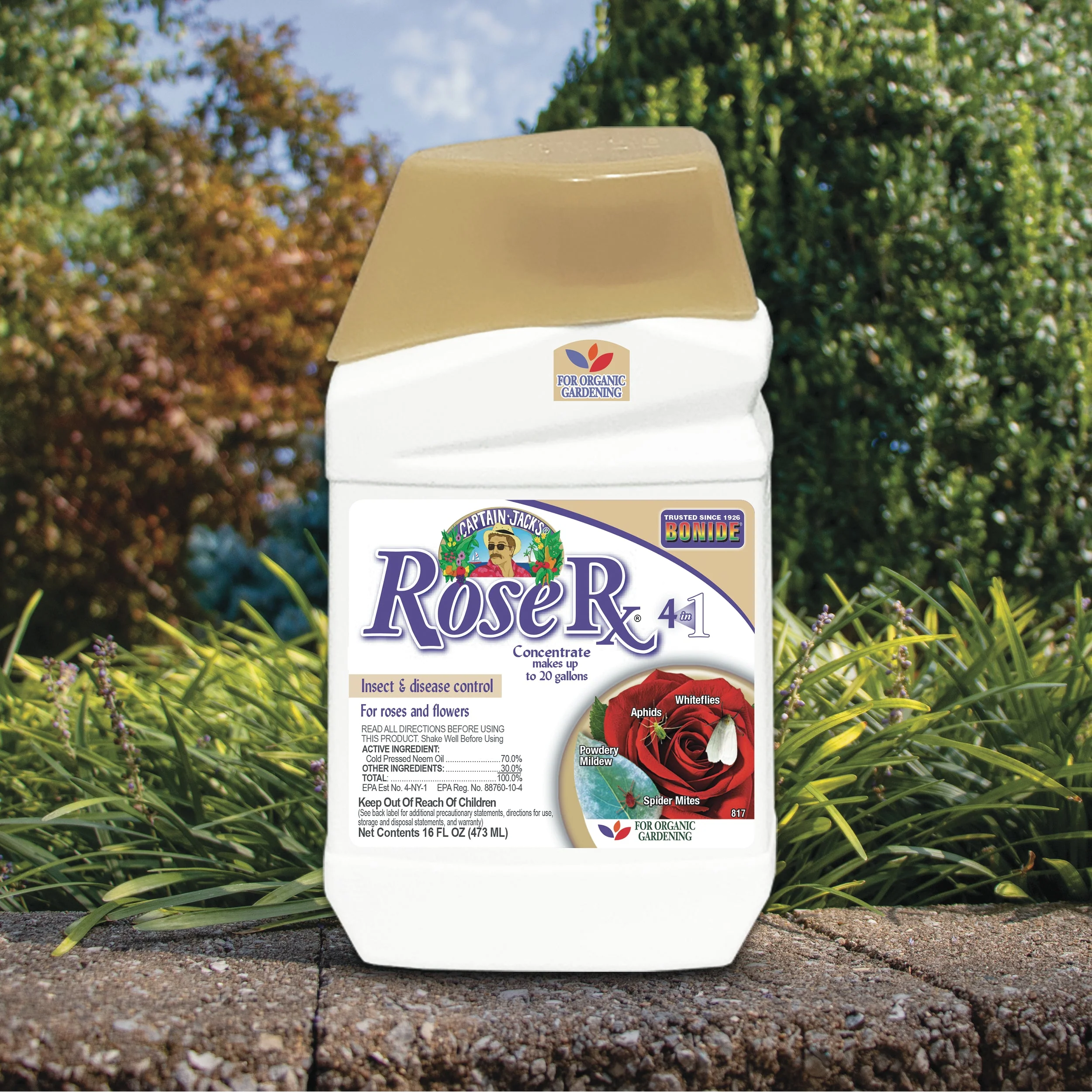 Bonide Captain Jack’s Rose Rx® 4-in-1 Concentrate - Image 2