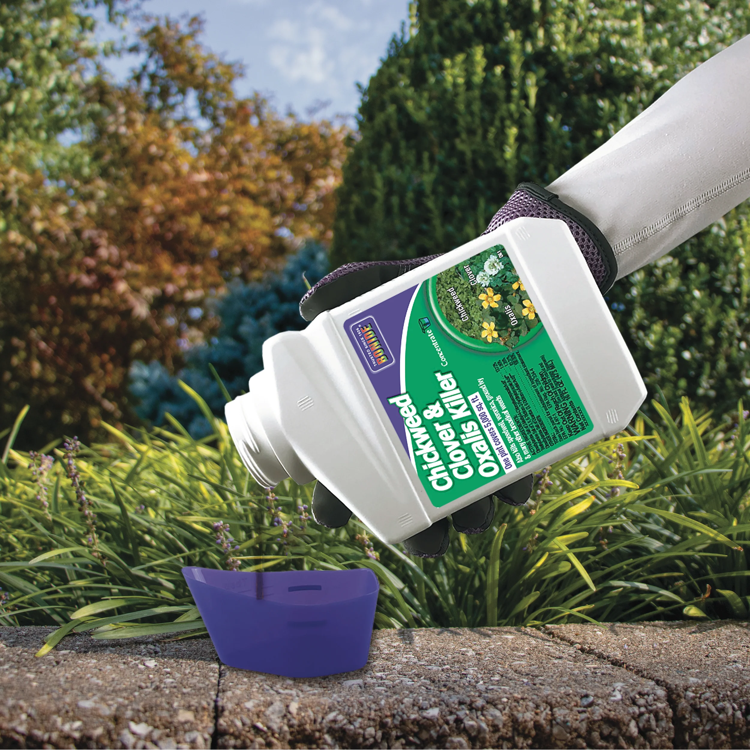 Bonide Chickweed, Clover & Oxalis Killer Concentrate - Image 3