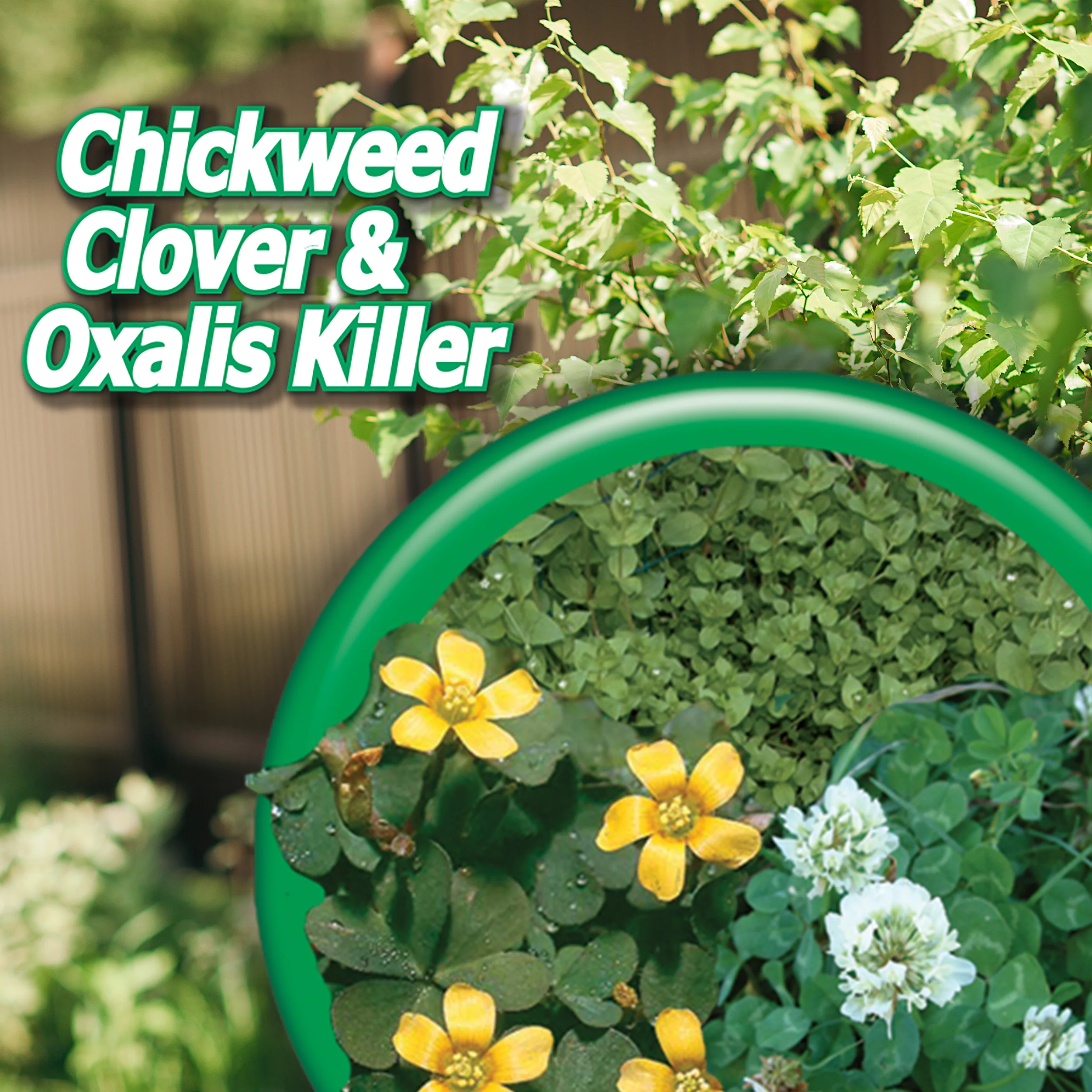Bonide Chickweed, Clover & Oxalis Killer Concentrate - Image 4