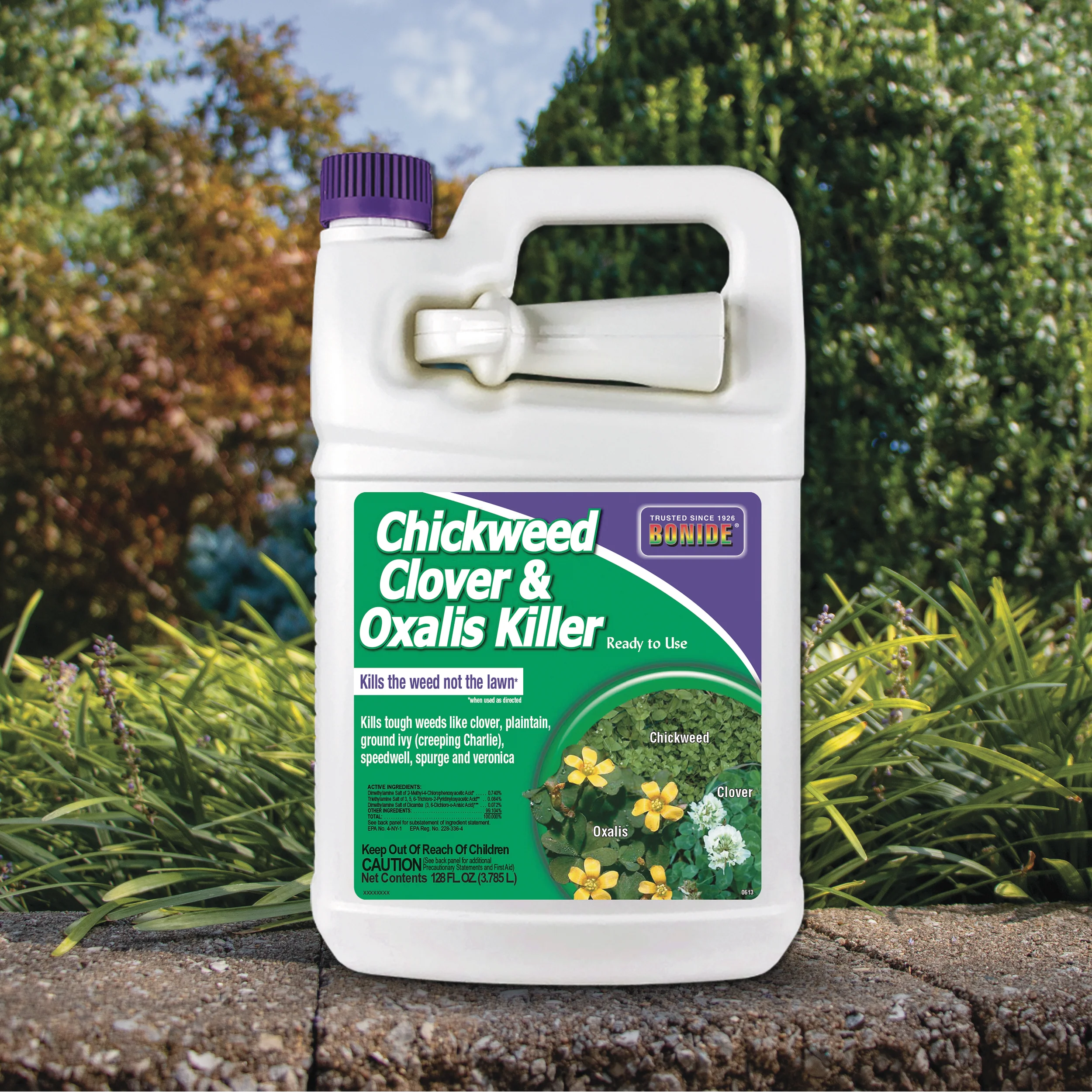 Bonide Chickweed, Clover & Oxalis Killer Ready-to-Use - Image 3