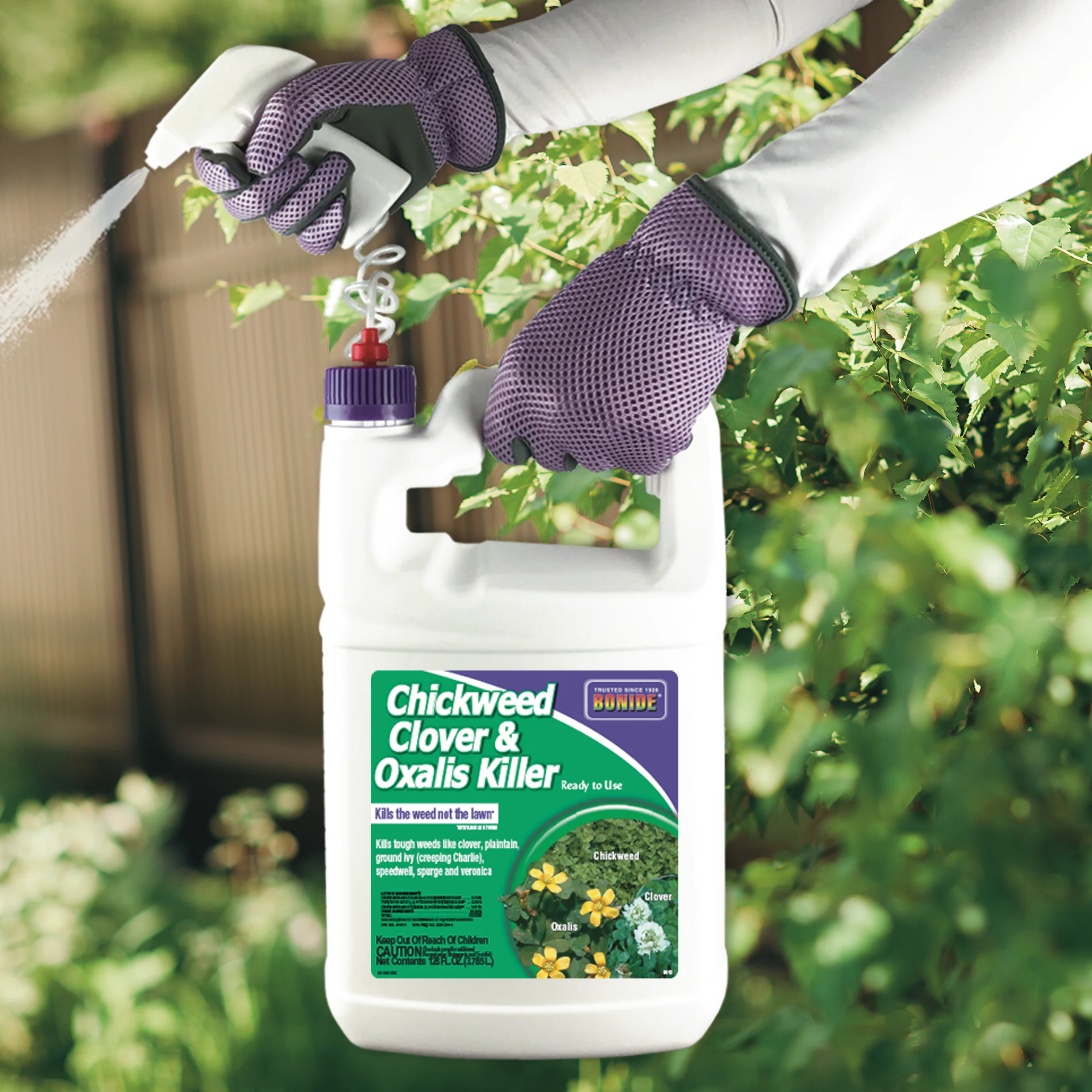 Bonide Chickweed, Clover & Oxalis Killer Ready-to-Use - Image 4
