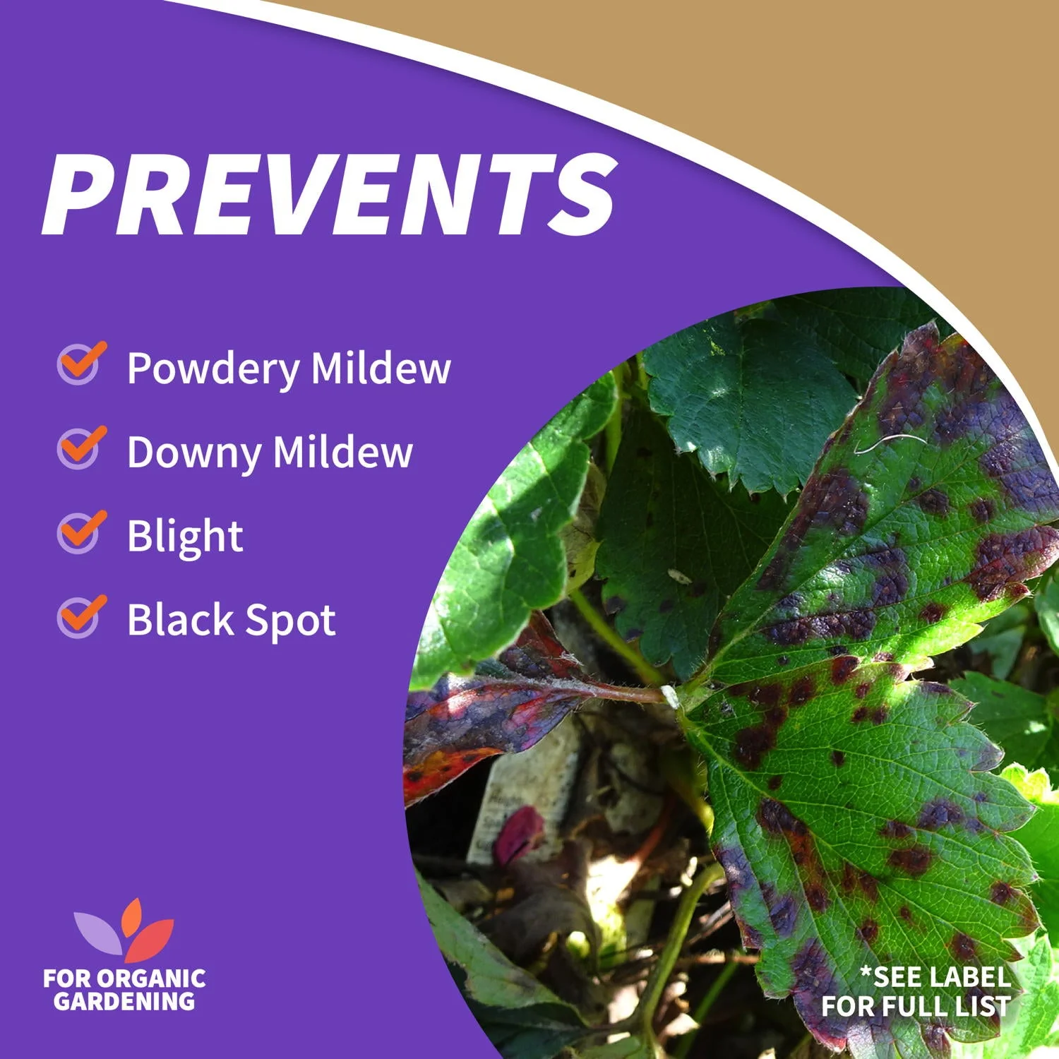 Bonide Liquid Copper Fungicide Concentrate - Image 6