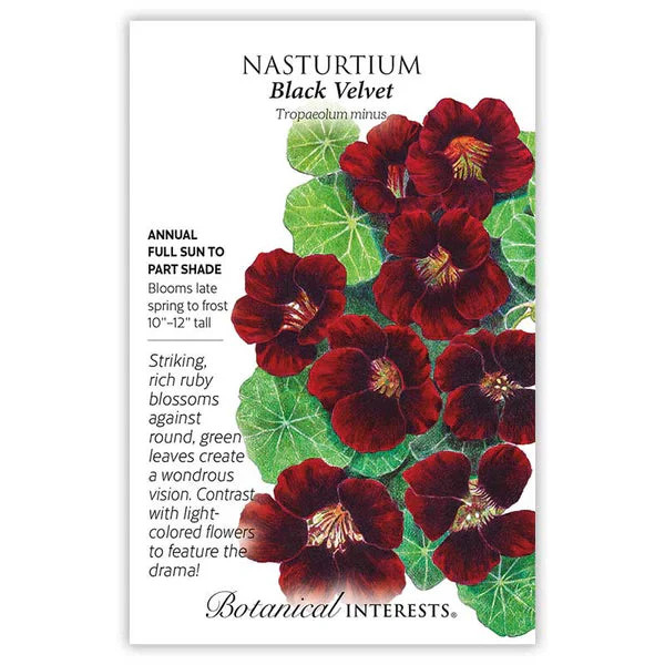 Botanical Interests Black Velvet Nasturtium Seeds - Image 3