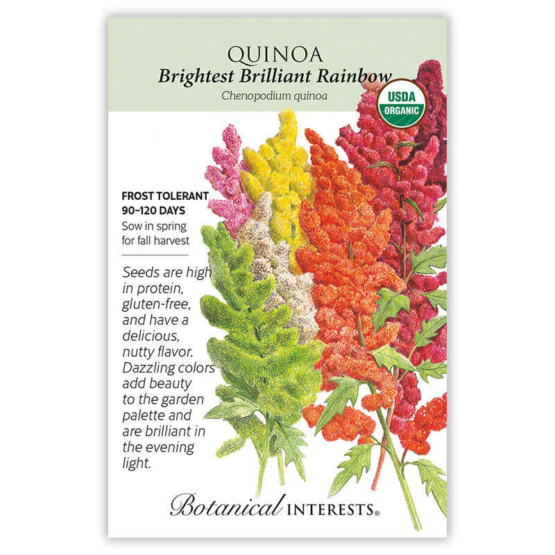 Botanical Interests Brightest Brilliant Rainbow Quinoa Seeds - Image 3