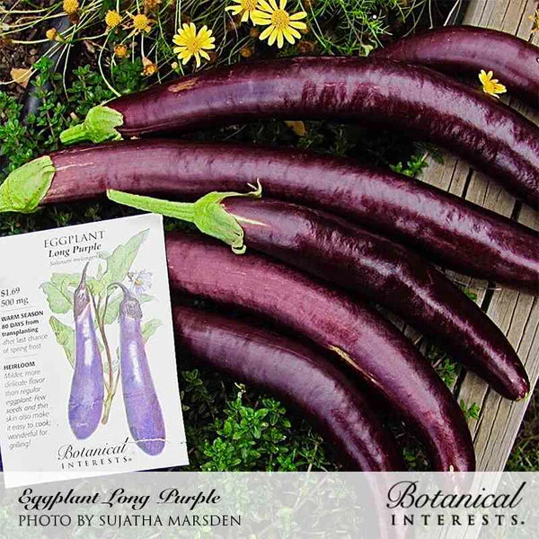 Botanical Interests Long Purple Eggplant Seeds - Image 5