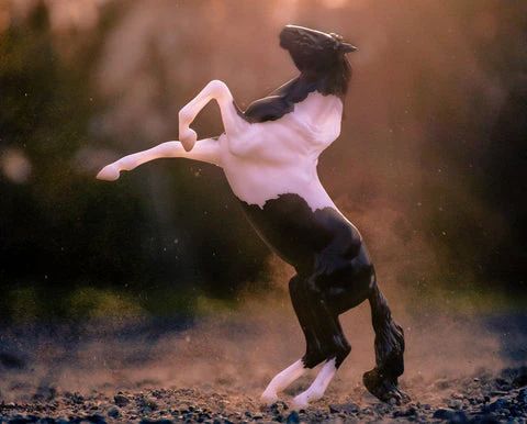 Breyer Black Pinto Rearing Mustang Retired - Image 2