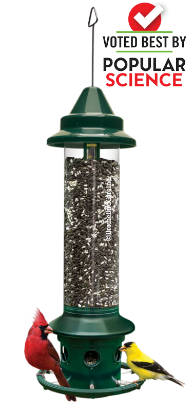 Brome Squirrel Buster Plus