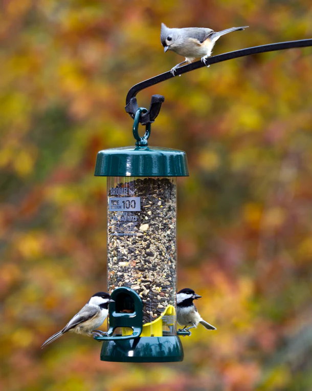 Brome Tube Solution™ 100 Tube Bird Feeder - Image 2