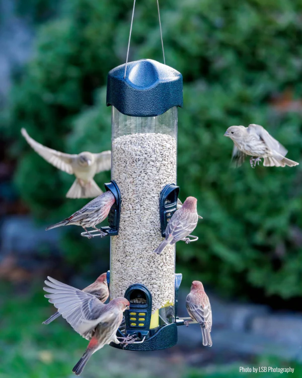 Brome Mega600™ Tube Bird Feeder - Image 2