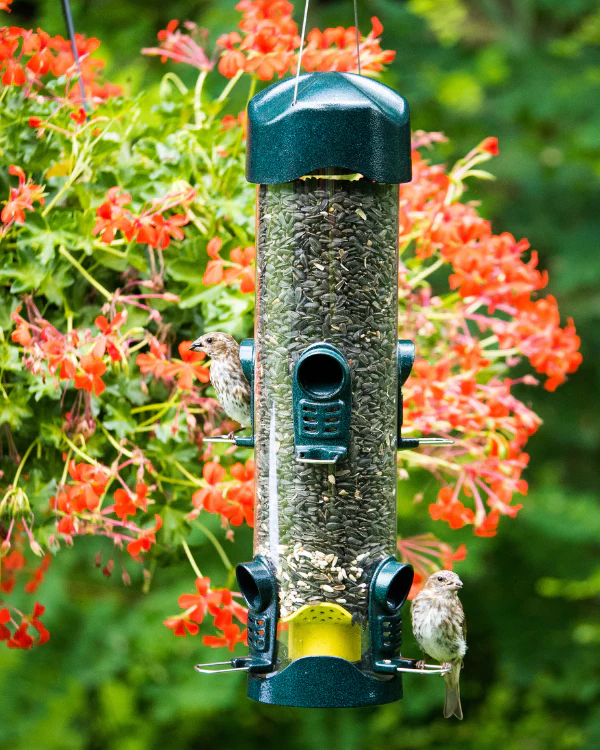 Brome Mega600™ Tube Bird Feeder - Image 3