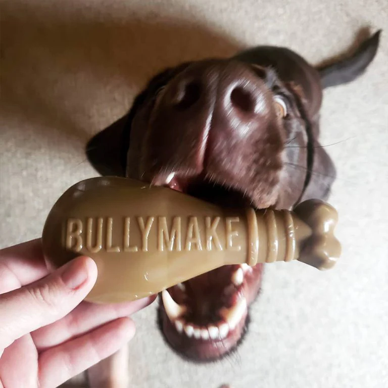 Bullymake Drumstick Nylon Dog Toy For Power Chewers - Image 2