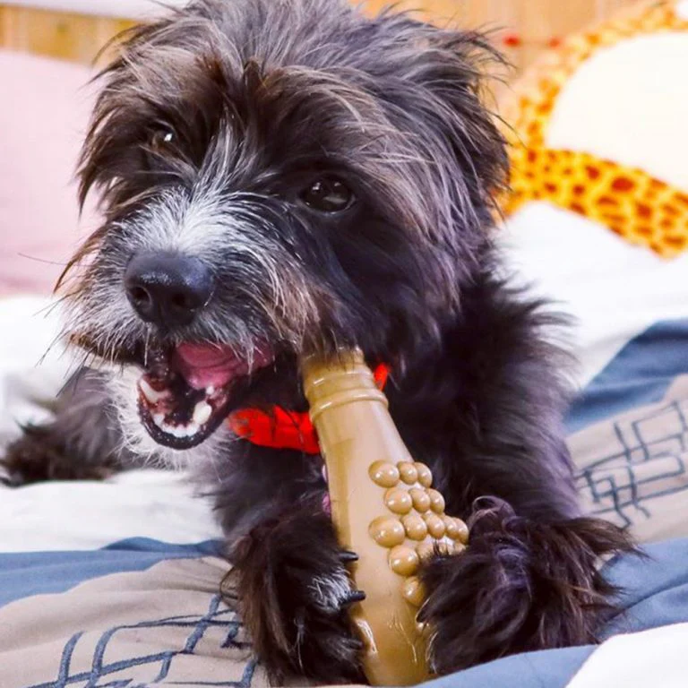 Bullymake Drumstick Nylon Dog Toy For Power Chewers - Image 4