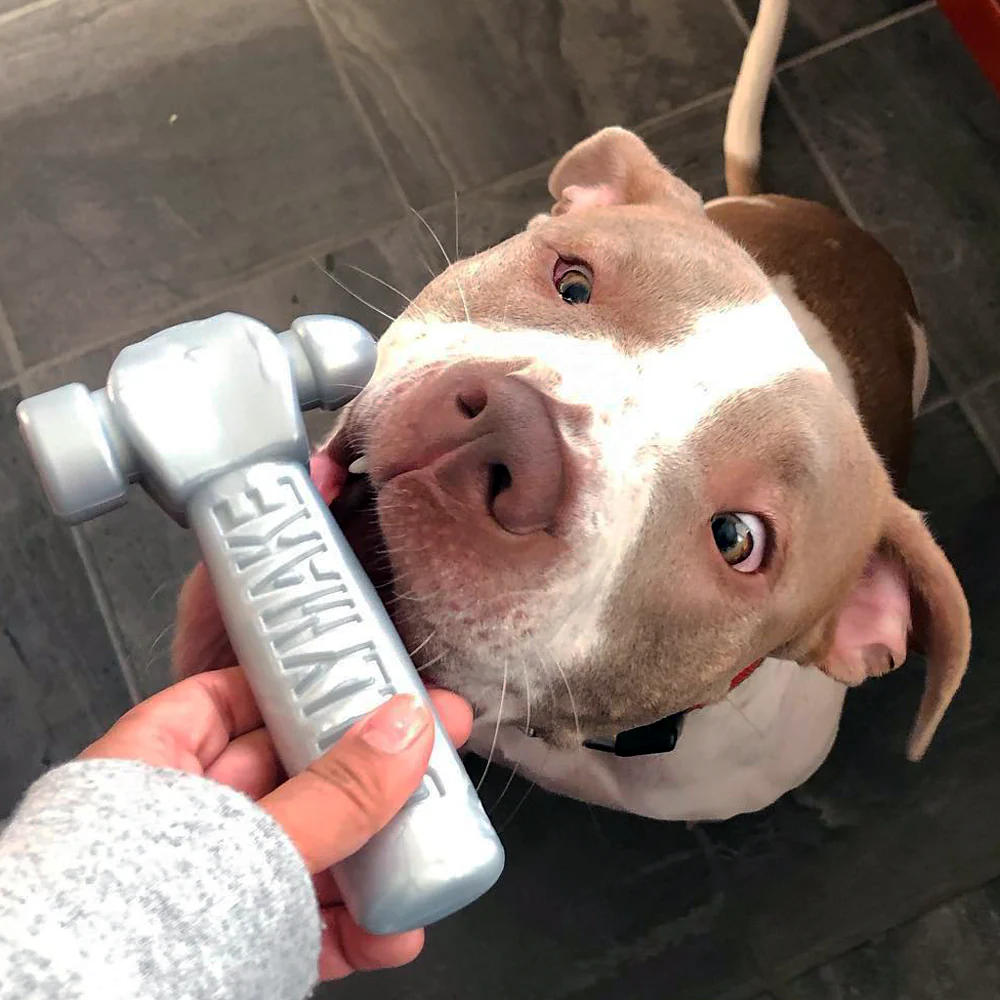 Bullymake Hammer Nylon Dog Toy For Super Chewers - Image 4
