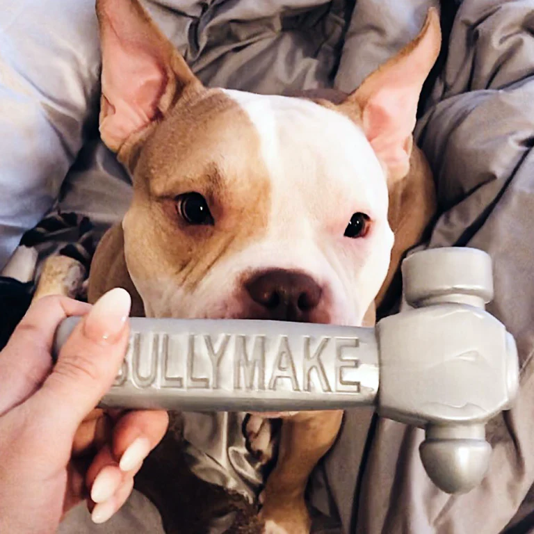 Bullymake Hammer Nylon Dog Toy For Super Chewers - Image 5