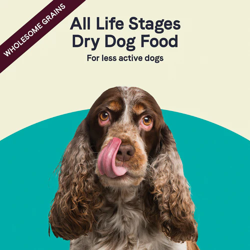 Canidae All Life Stages Less Active Dry Dog Food - Image 8