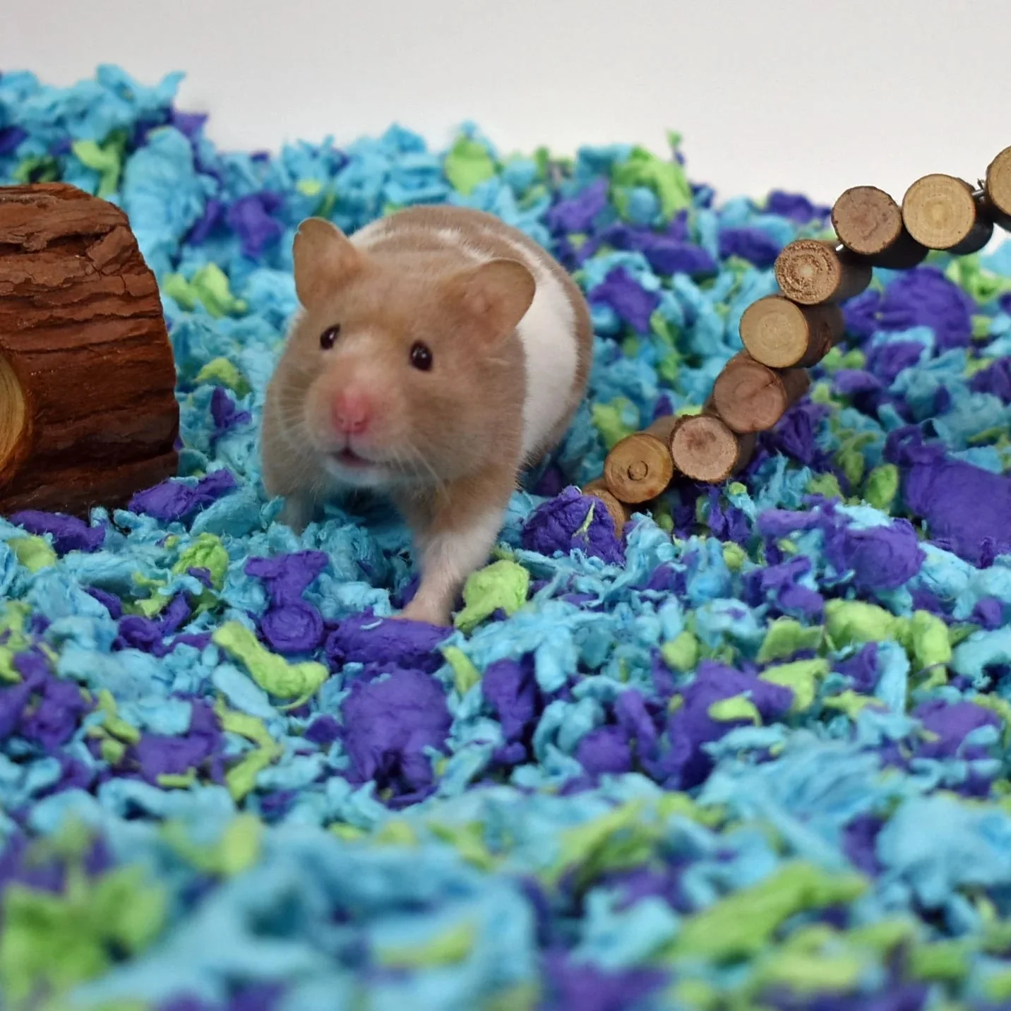 Carefresh® Special Edition Small Pet Paper Bedding - Image 9