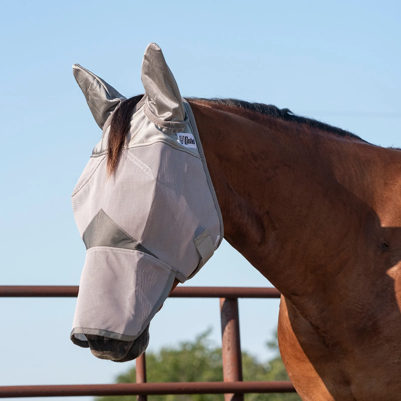 Cashel Crusader Fly Mask Long Nose and Standard Ears - Image 2