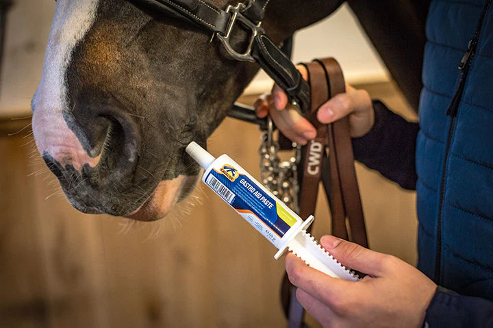 Cavalor Gastro Aid Paste - Image 2
