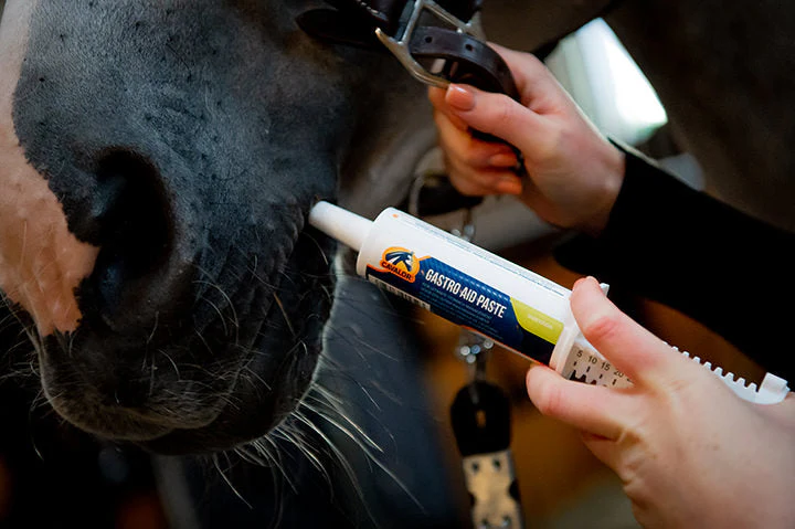 Cavalor Gastro Aid Paste - Image 3