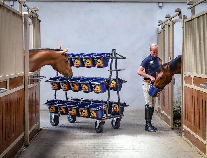 Cavalor Perfomix Horse Feed - Image 3