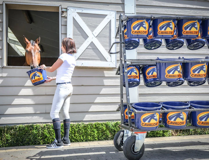 Cavalor Pianissimo Horse Feed - Image 3
