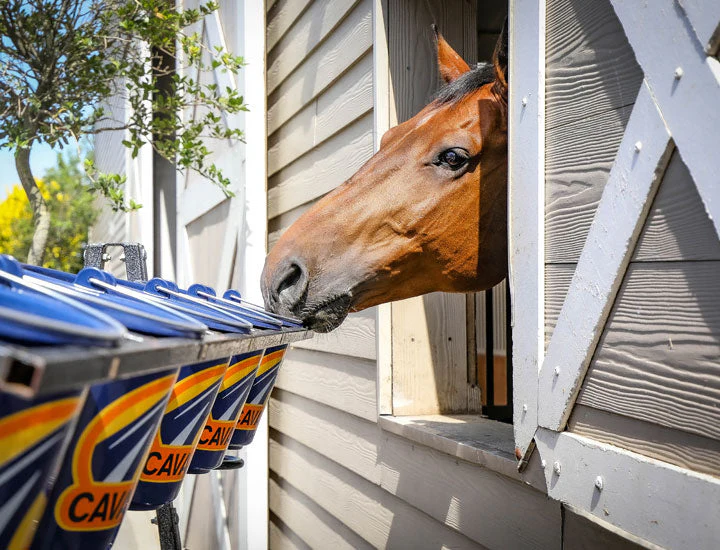 Cavalor Strucomix Senior Horse Feed - Image 2