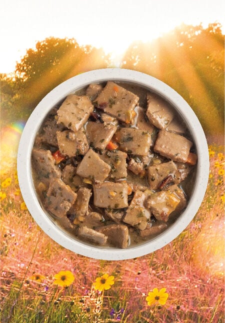 ACANA Premium Chunks Duck Recipe in Bone Broth Wet Dog Food - Image 3