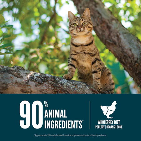 ORIJEN Guardian 8 Dry Cat Food - Image 6
