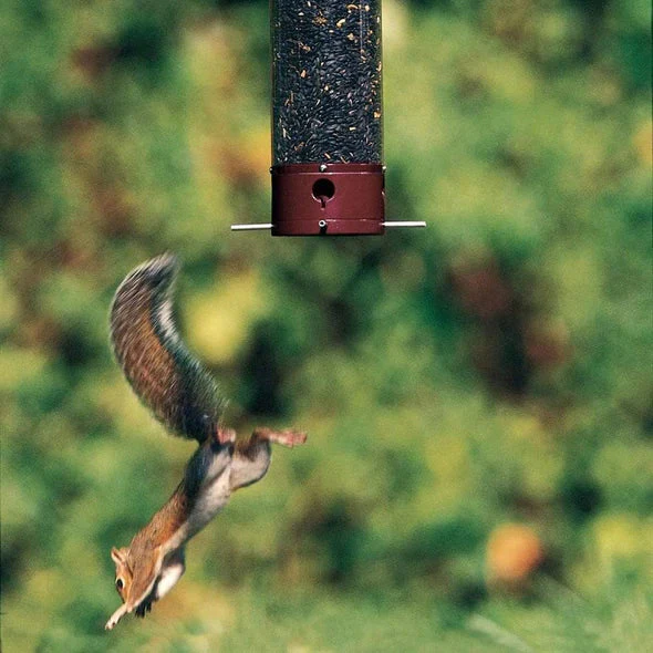 Classic Brands Droll Yankees® Yankee Dipper® Squirrel-Proof Bird Feeder - Image 3