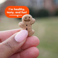 Cloud Star Buddy Biscuits Soft & Chewy Treats: Peanut Butter - Image 3