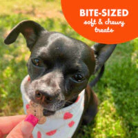 Cloud Star Buddy Biscuits Soft & Chewy Treats: Peanut Butter - Image 5