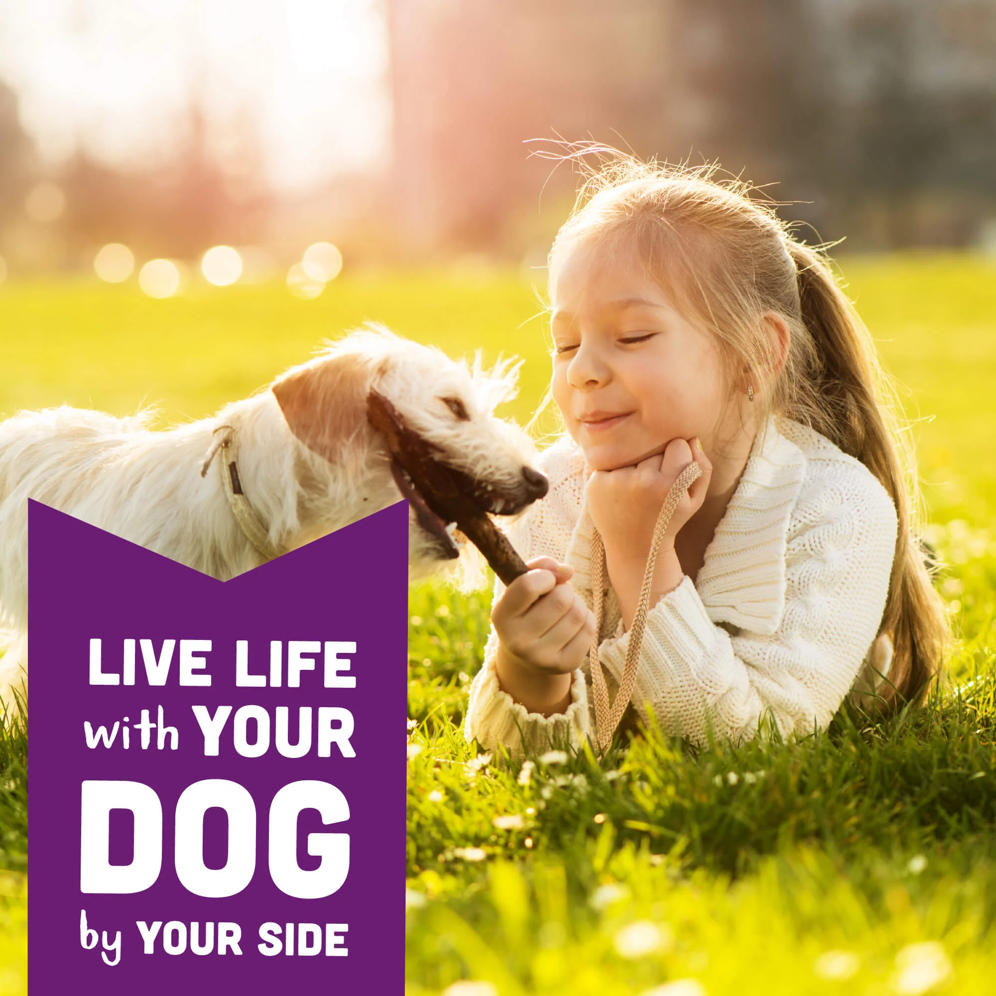 Cloud Star Wag More Bark Less Crunchy Grain Free Dog Treats, Assorted Flavors - Image 3