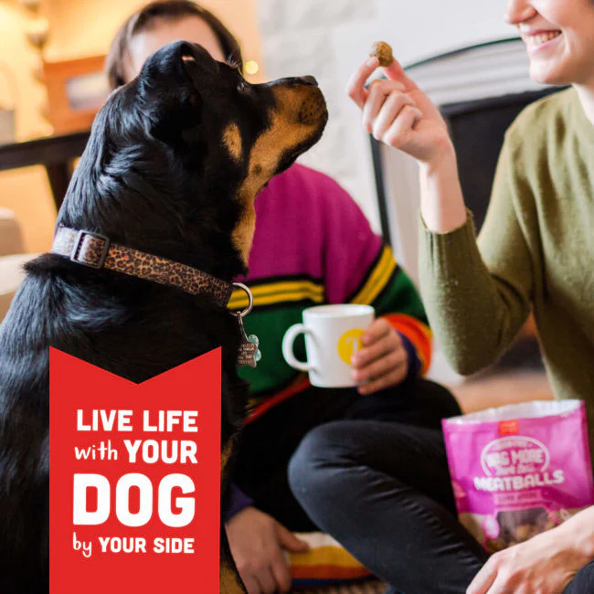 Cloud Star Wag More Bark Less Meatballs: Lamb Dog Treats - Image 9