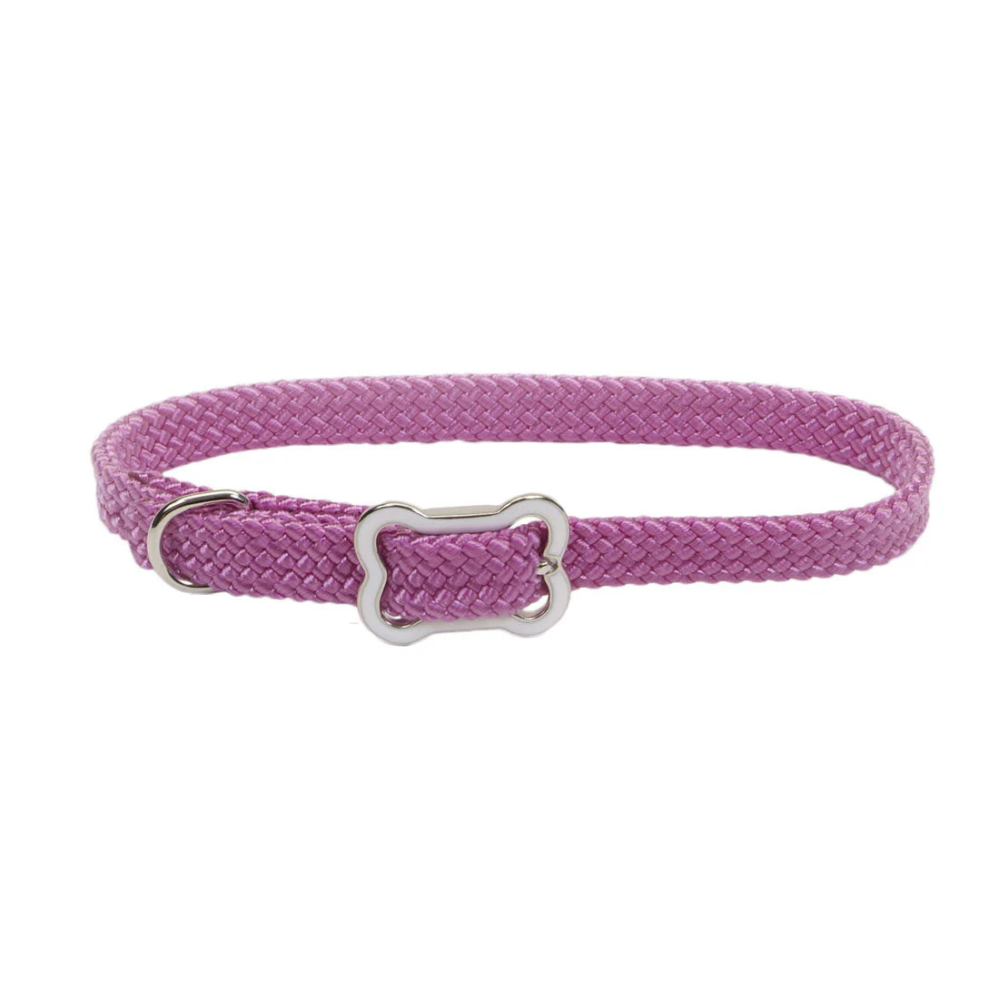 Coastal Pet Products Sunburst Dog Collar with Bone Buckle - Image 2