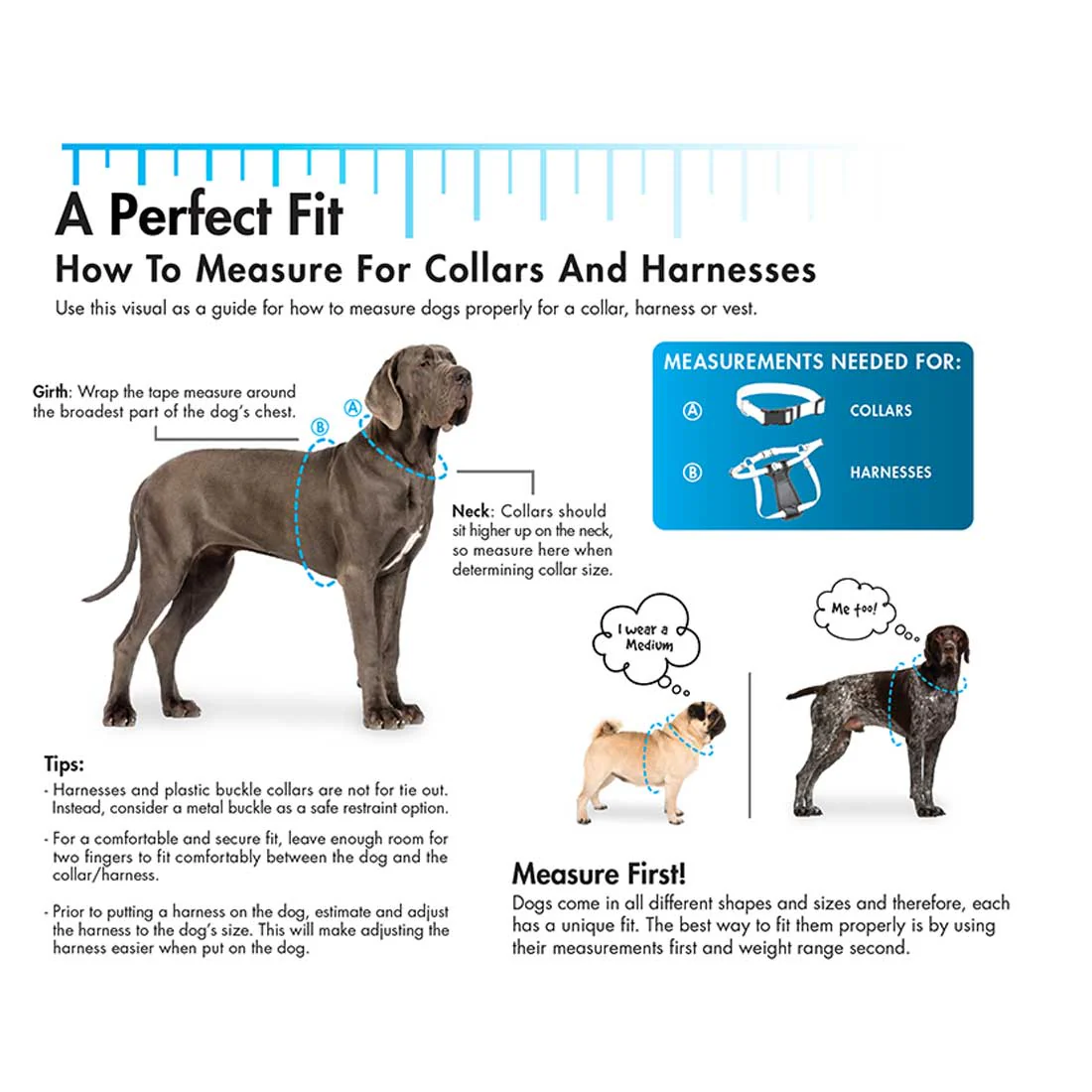 Coastal Pet Products Titan Extra Links for Dog Prong Training Collars - Image 2