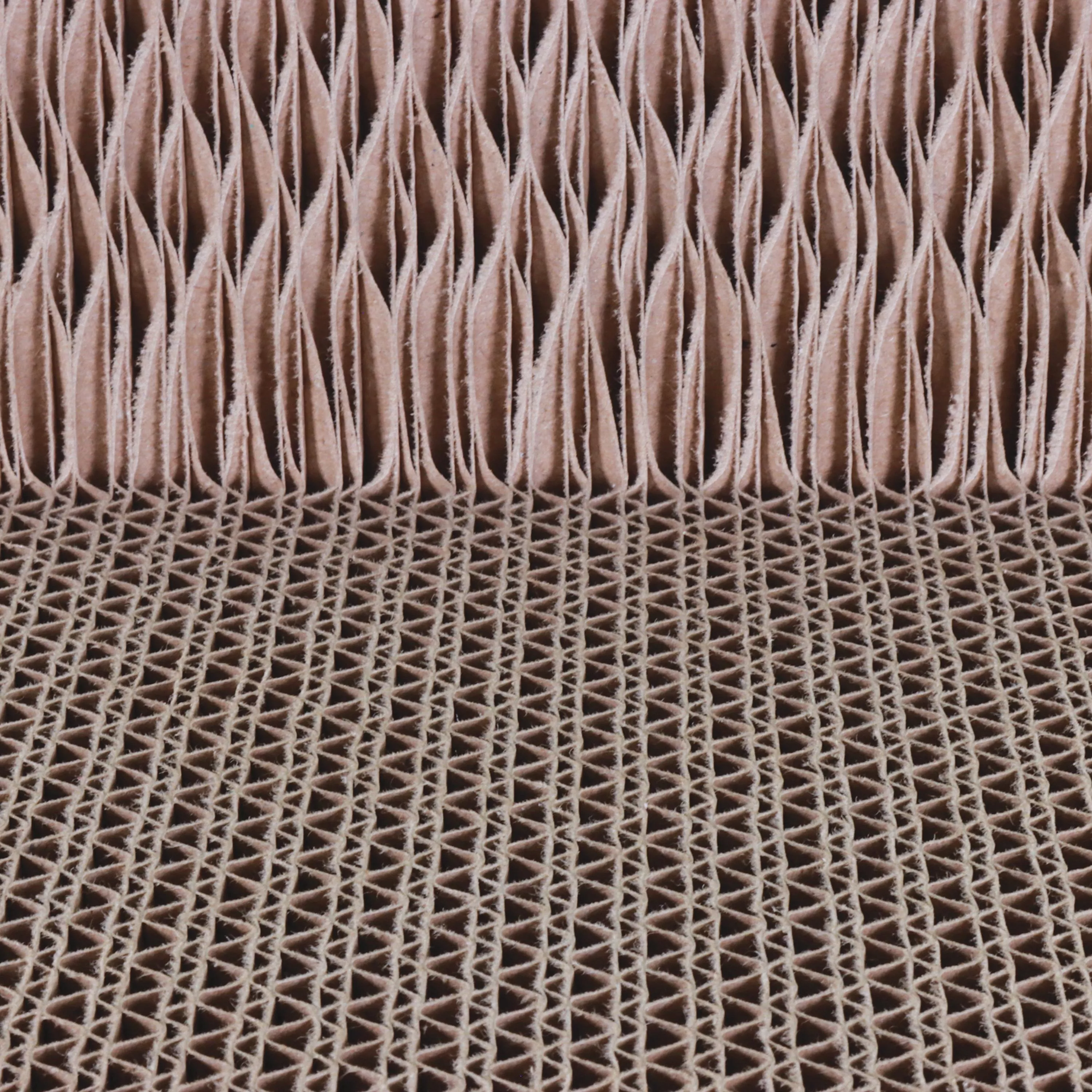 Coastal Pet Products Turbo by Coastal Truck Cat Scratcher - Image 4