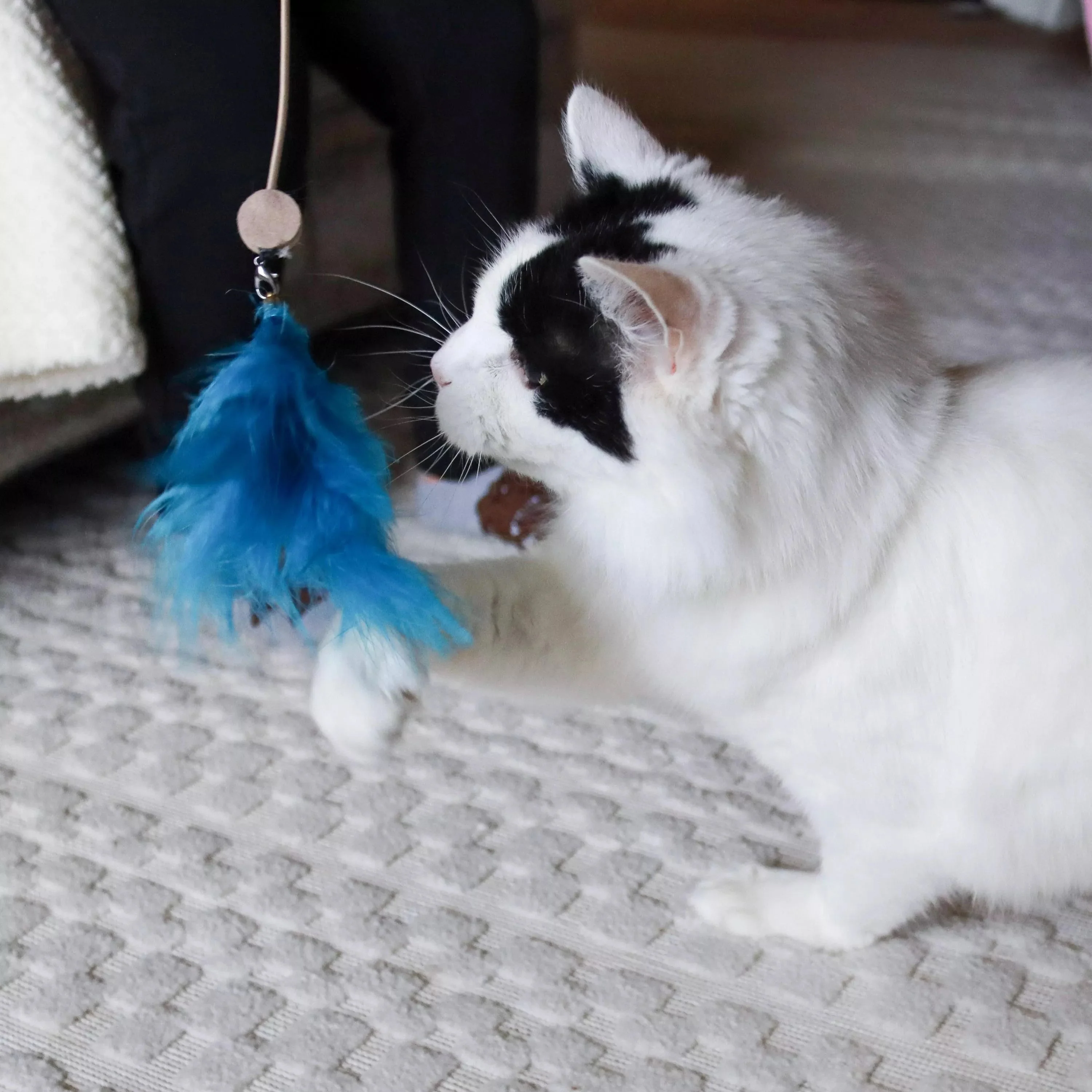 Coastal Pet Products Turbo Telescoping Wand with LED Pointer Cat Toy - Image 4