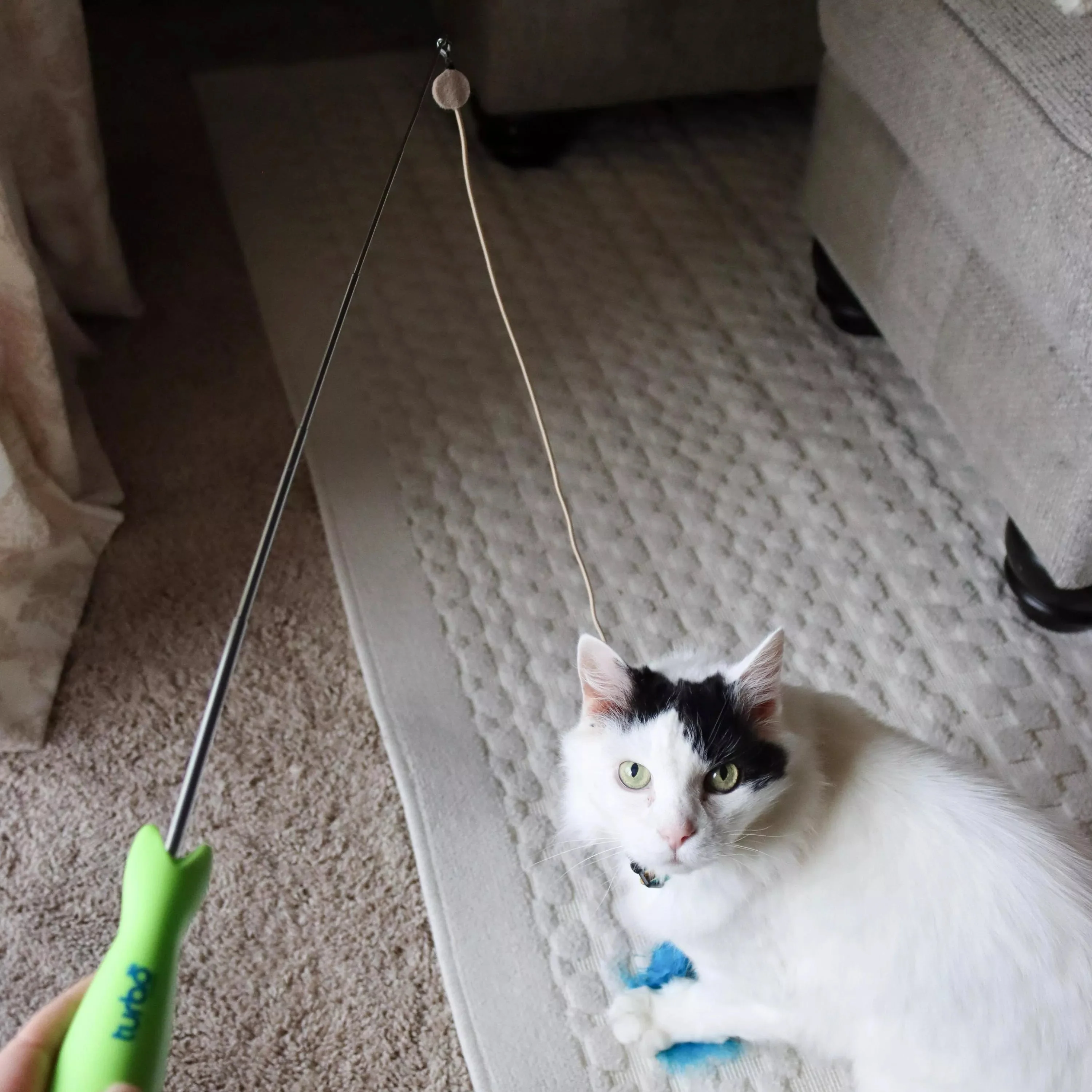 Coastal Pet Products Turbo Telescoping Wand with LED Pointer Cat Toy - Image 5
