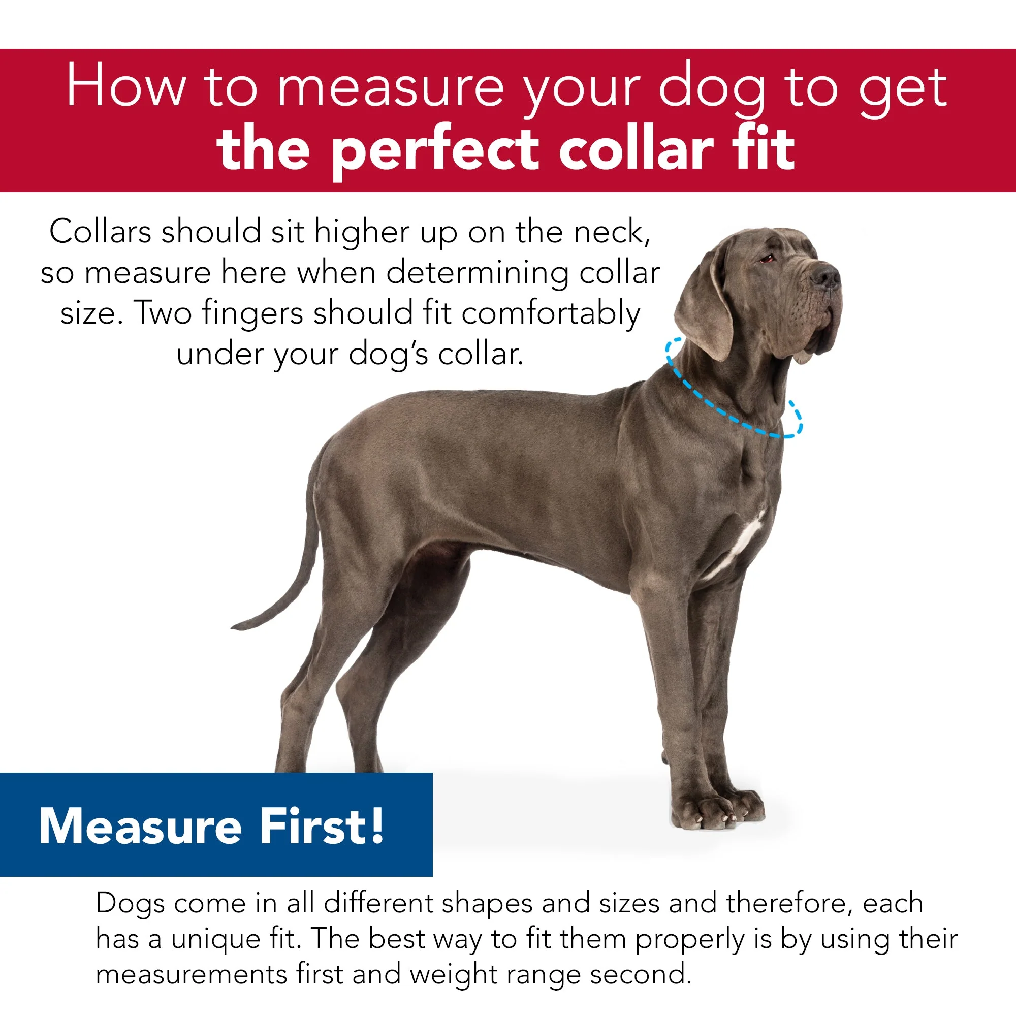 Coastal Pet SecureAway Flea Collar Protectors - Image 5