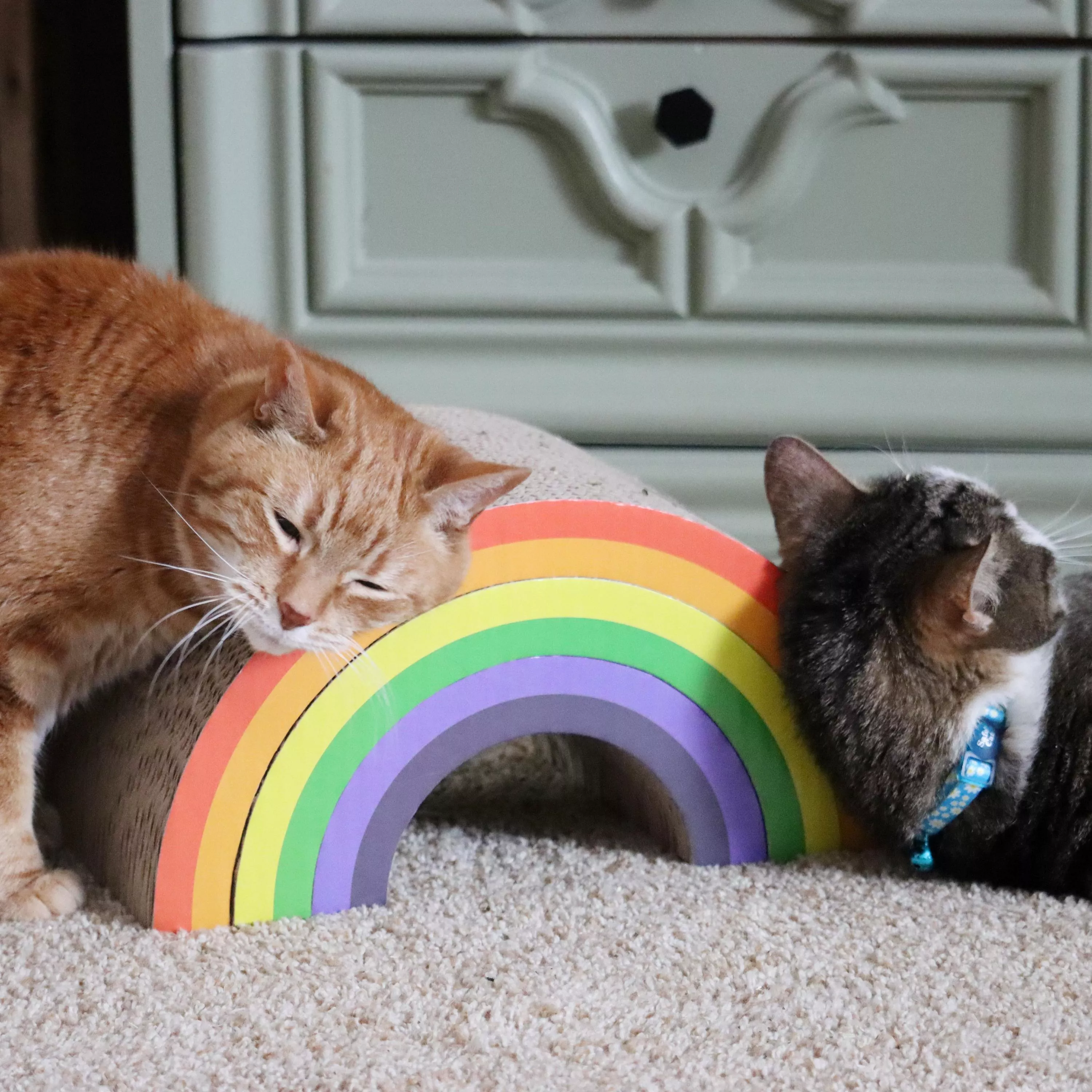 Coastal Pet Turbo by Coastal Rainbow Stack Cat Scratcher - Image 5
