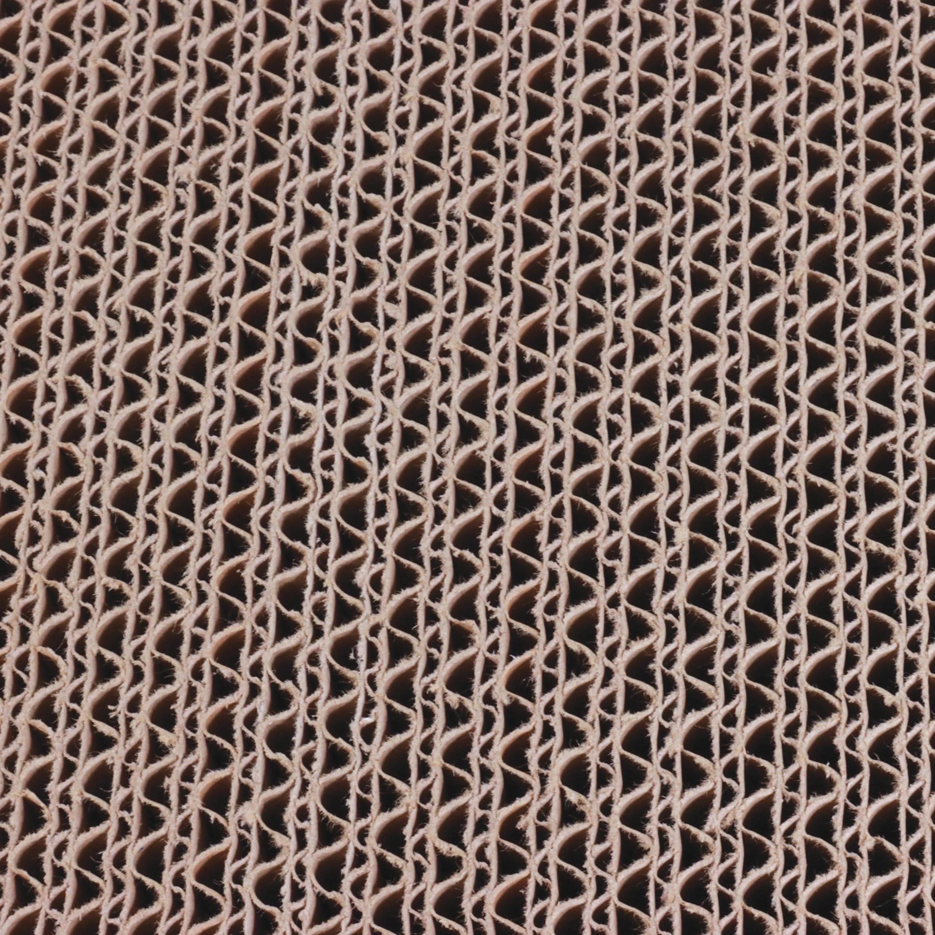 Coastal Pet Turbo by Coastal Rectangle Cat Scratcher - Image 3