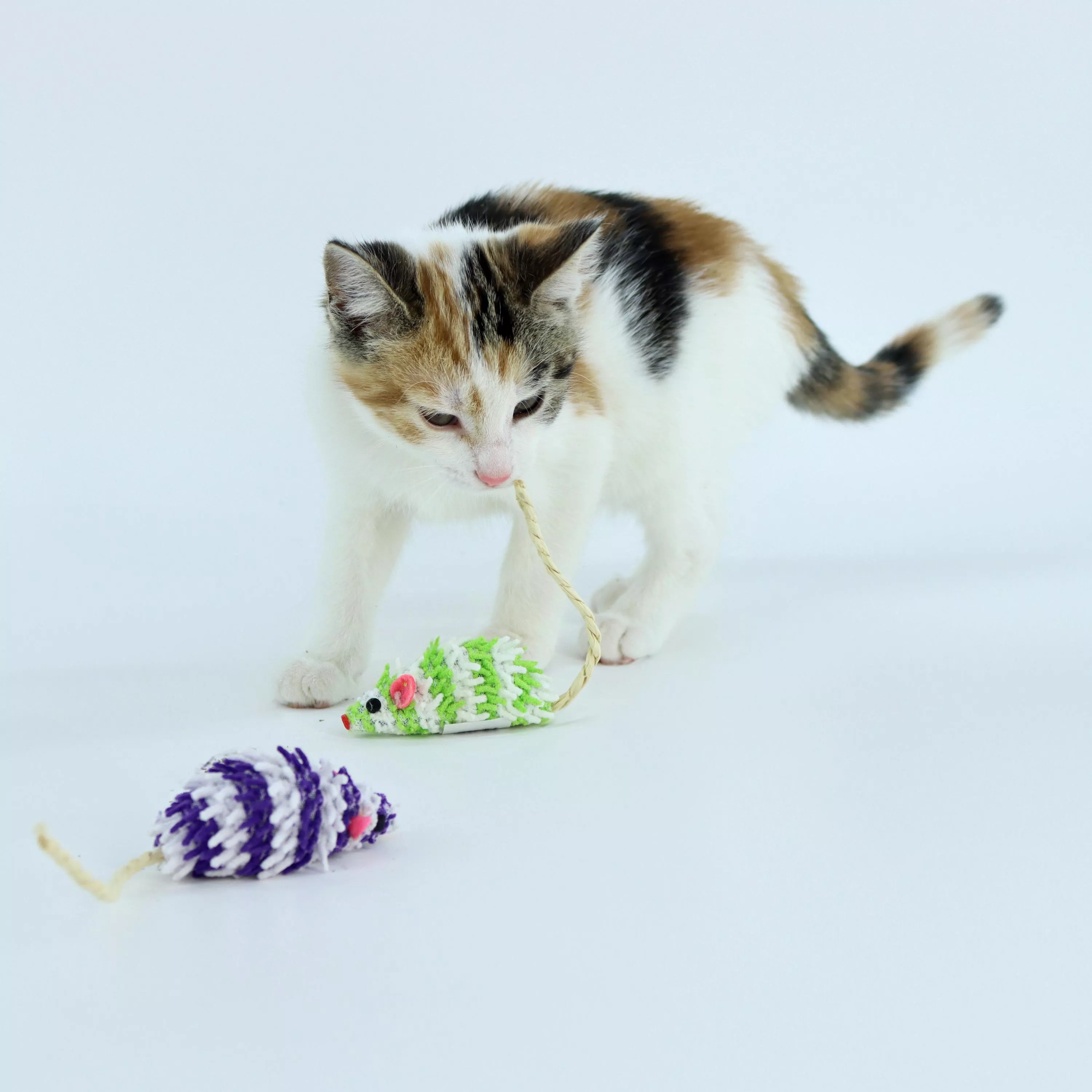 Coastal Pet Turbo Mop Mice Bulk Cat Toy Bin - Image 2
