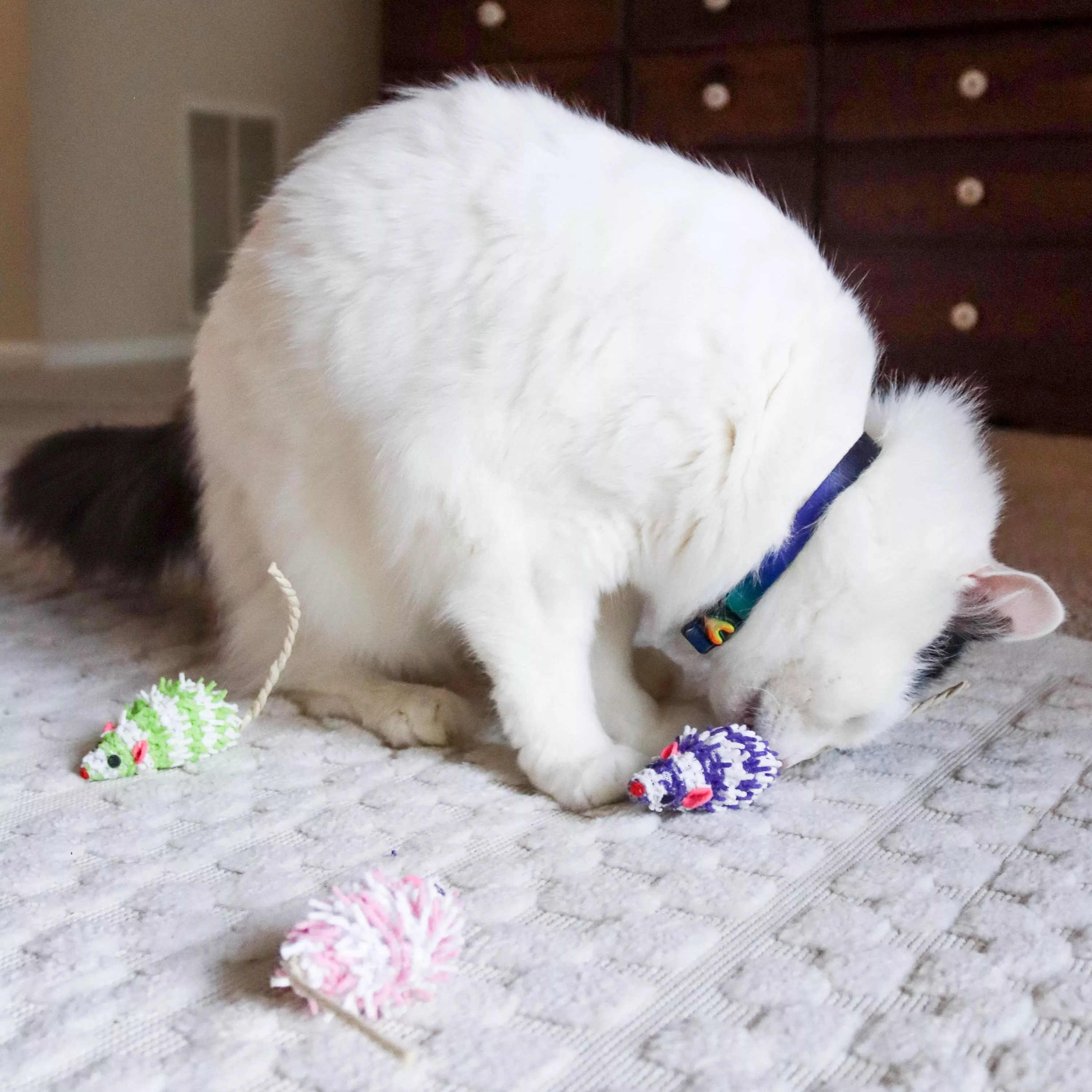 Coastal Pet Turbo Mop Mice Bulk Cat Toy Bin - Image 4